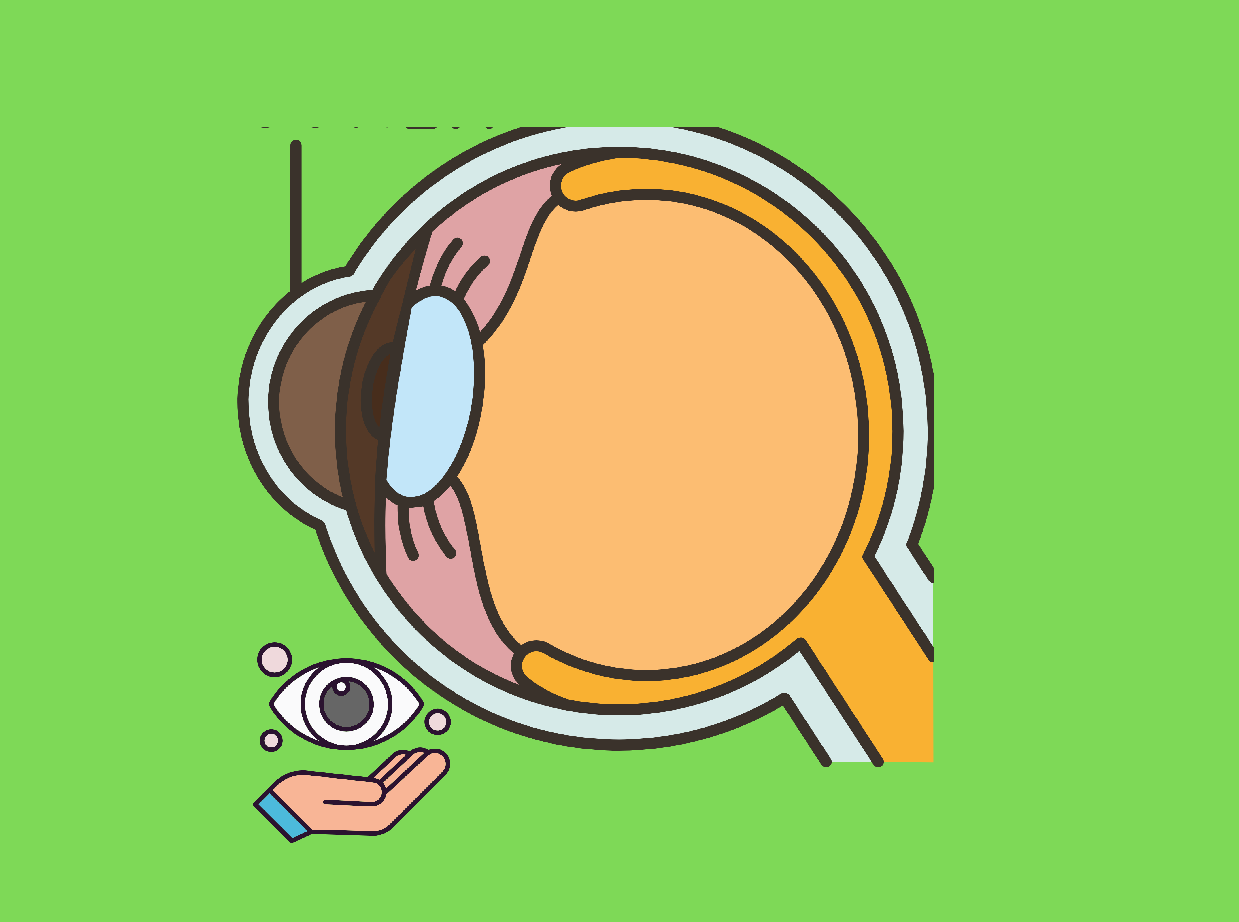 Ophthalmologist