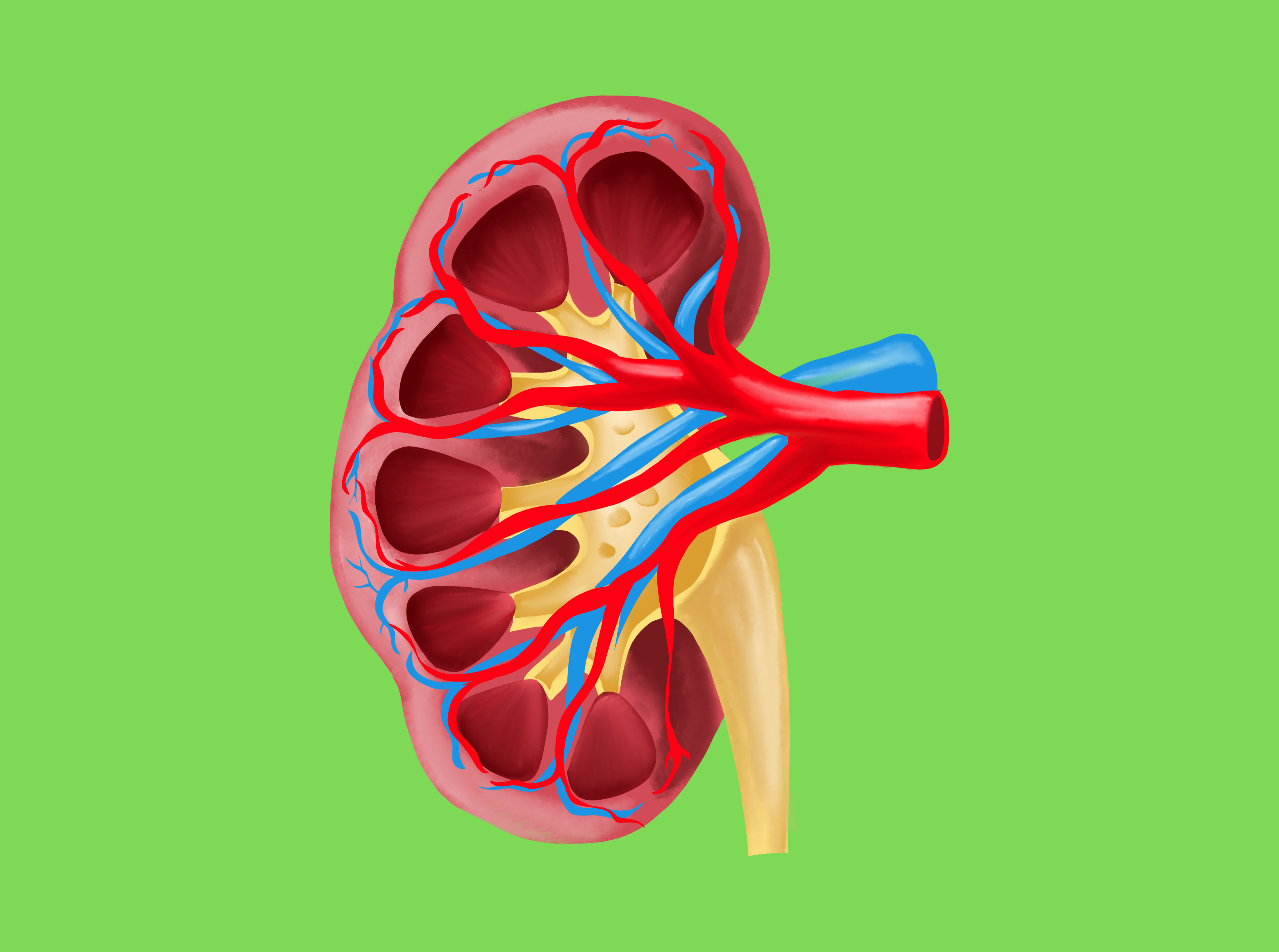 Nephrology