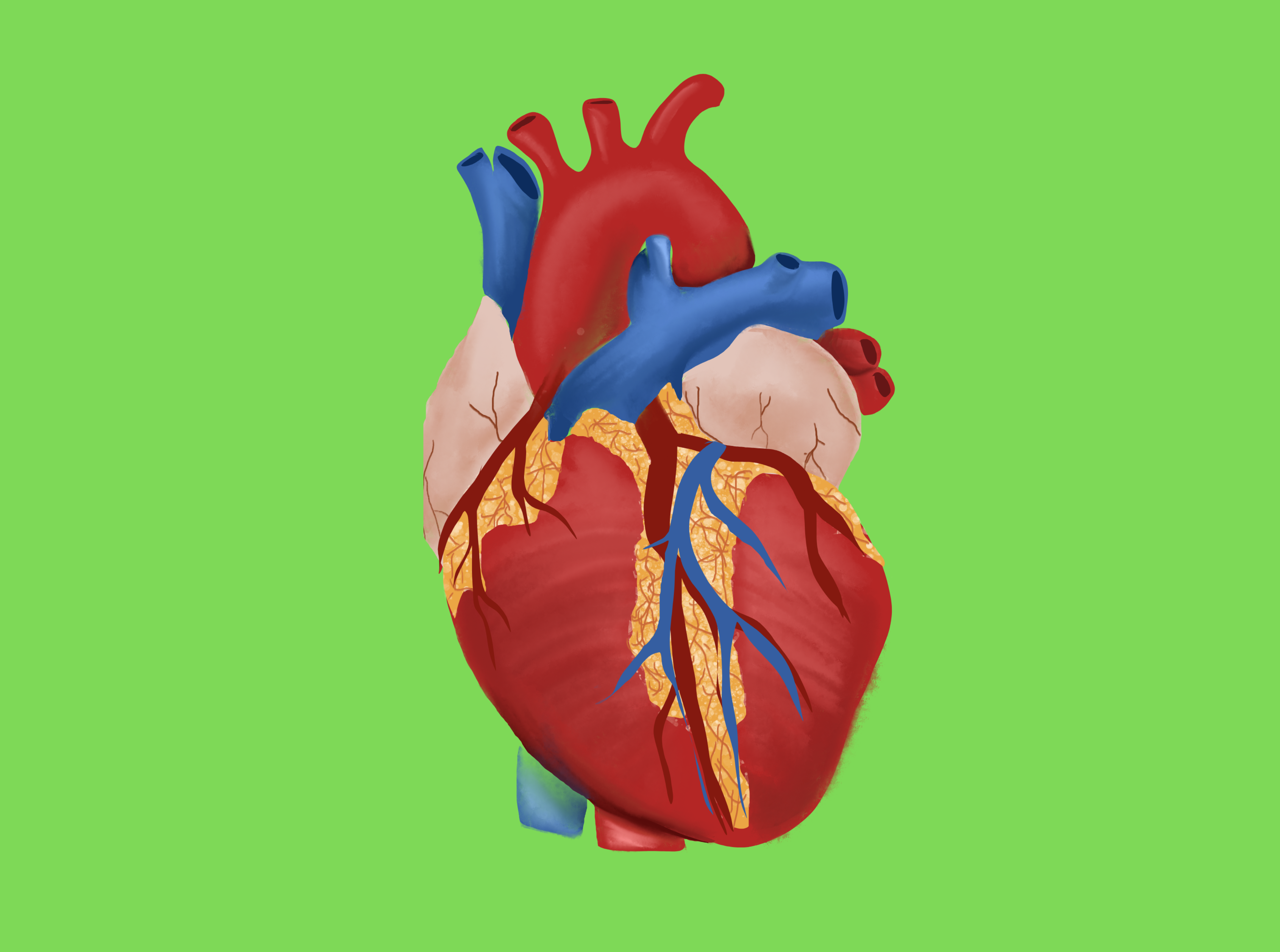 Cardiologist