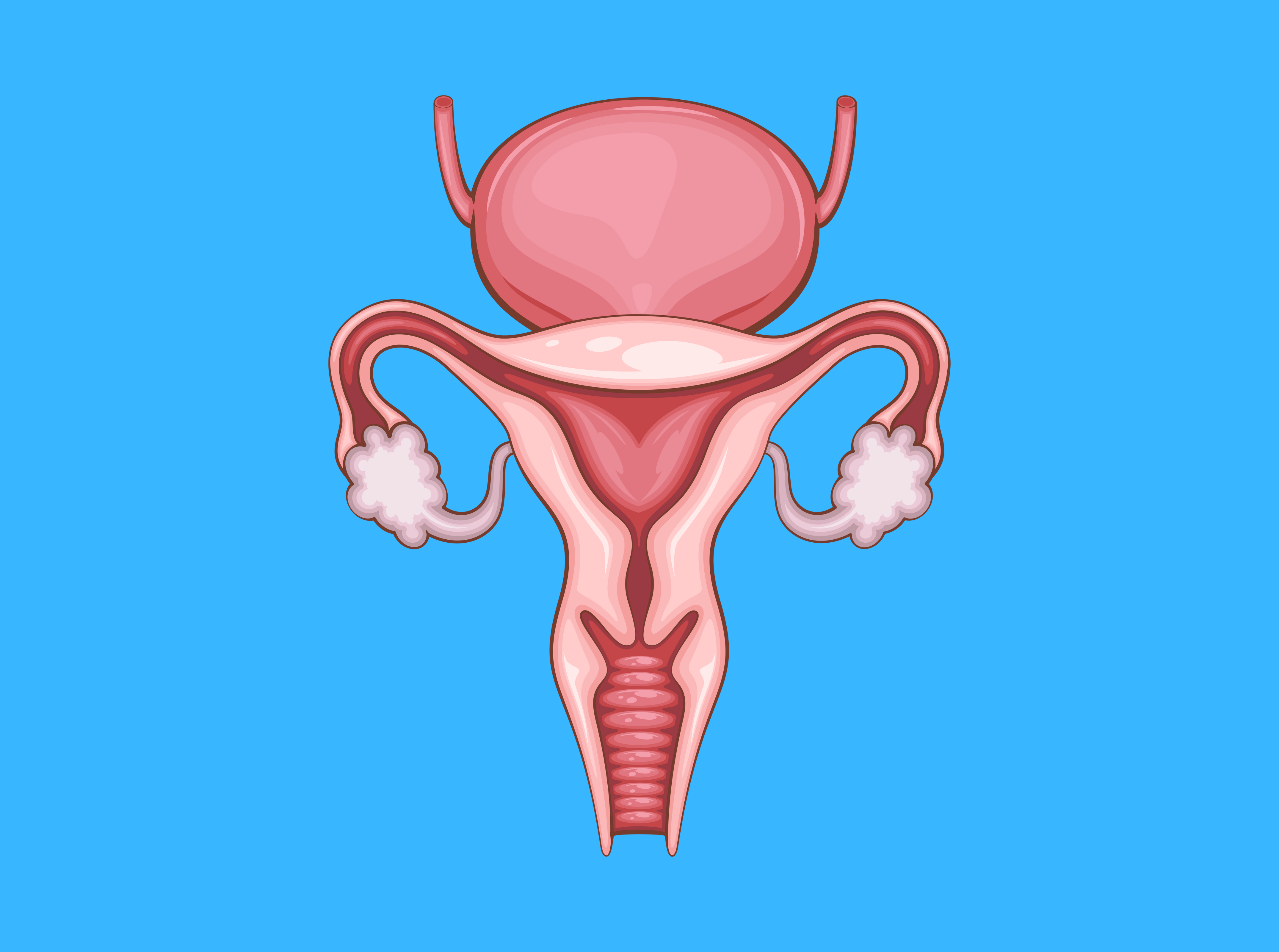 Gynecologist