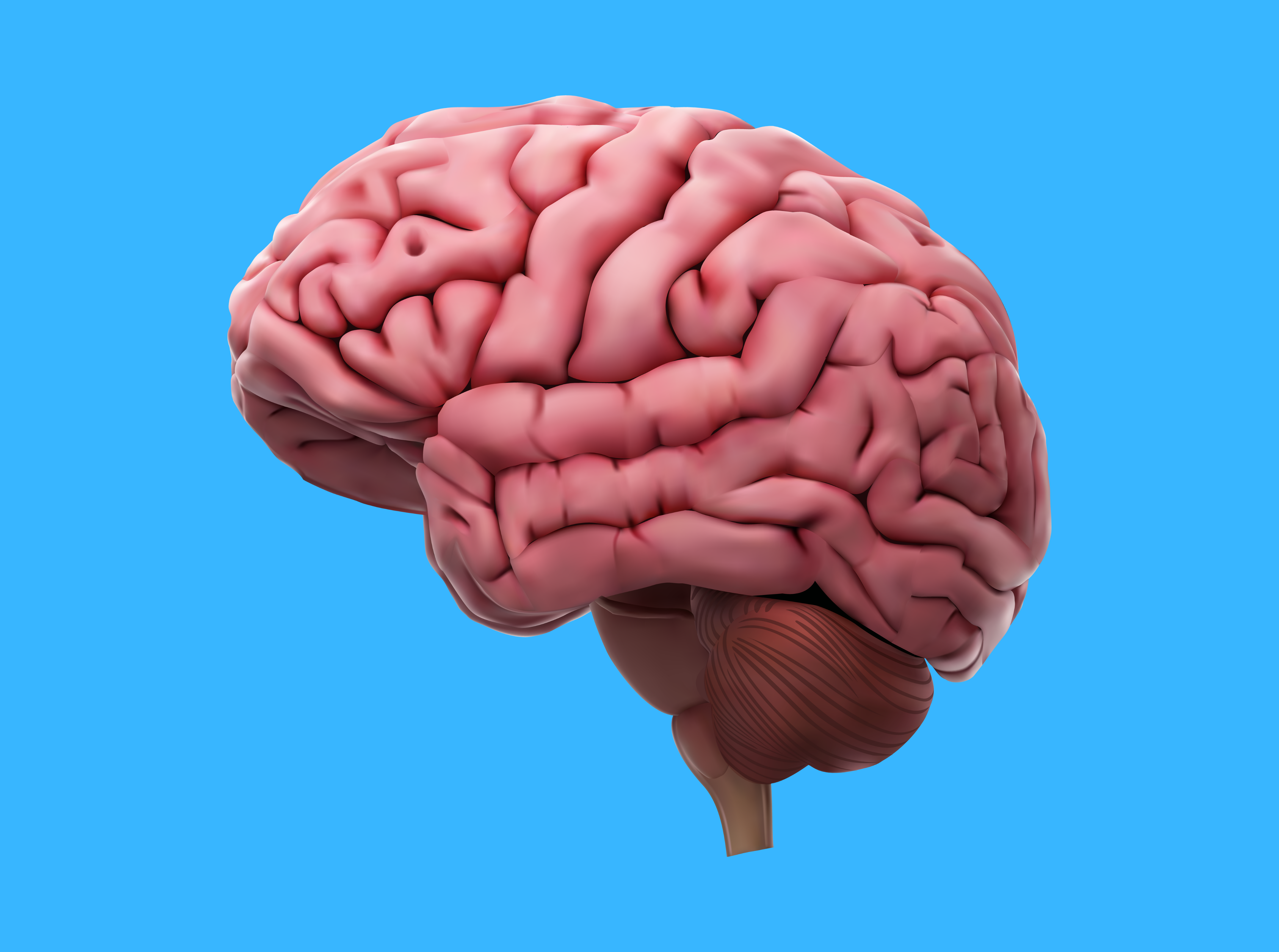 Neurologist